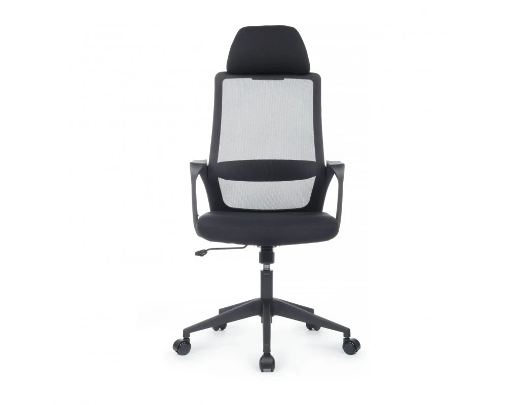 фото Офисное кресло Riva Chair Point (8325H)