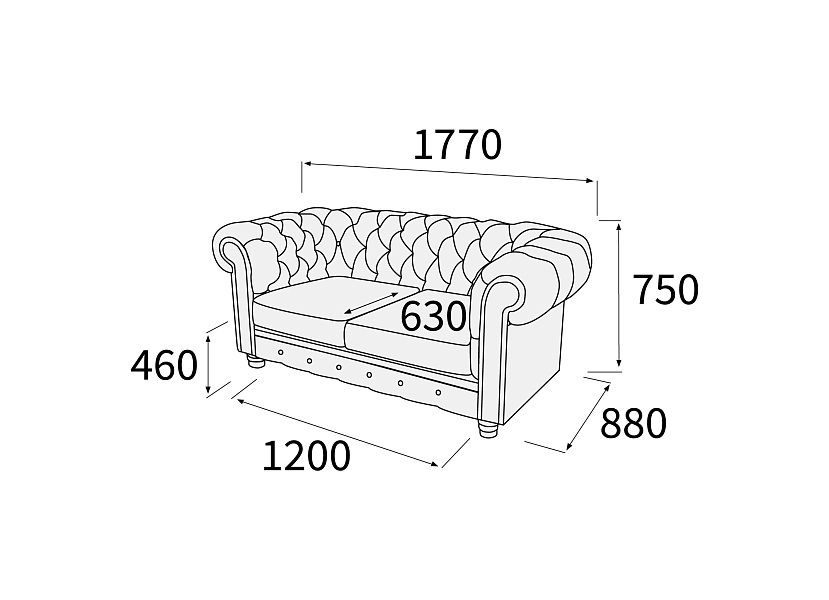 картинка Диван 2-х местный Альфа Честер Д2
