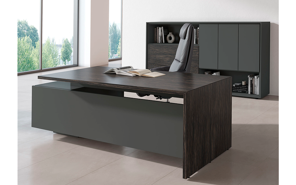 фото Кабинет руководителя Dali