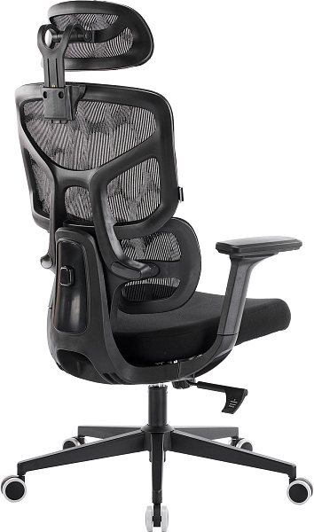 фото Эргономичное кресло Everprof Omega Black Сетка