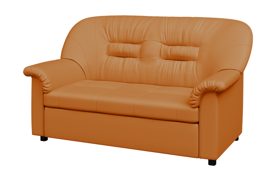 картинка Диван 2-местный раскладной Премьер  P2-r