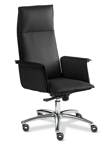 картинка Кресло для руководителя Multi-office Epsilon Luxe A