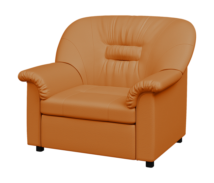 картинка Кресло раскладное Премьер  P1-r