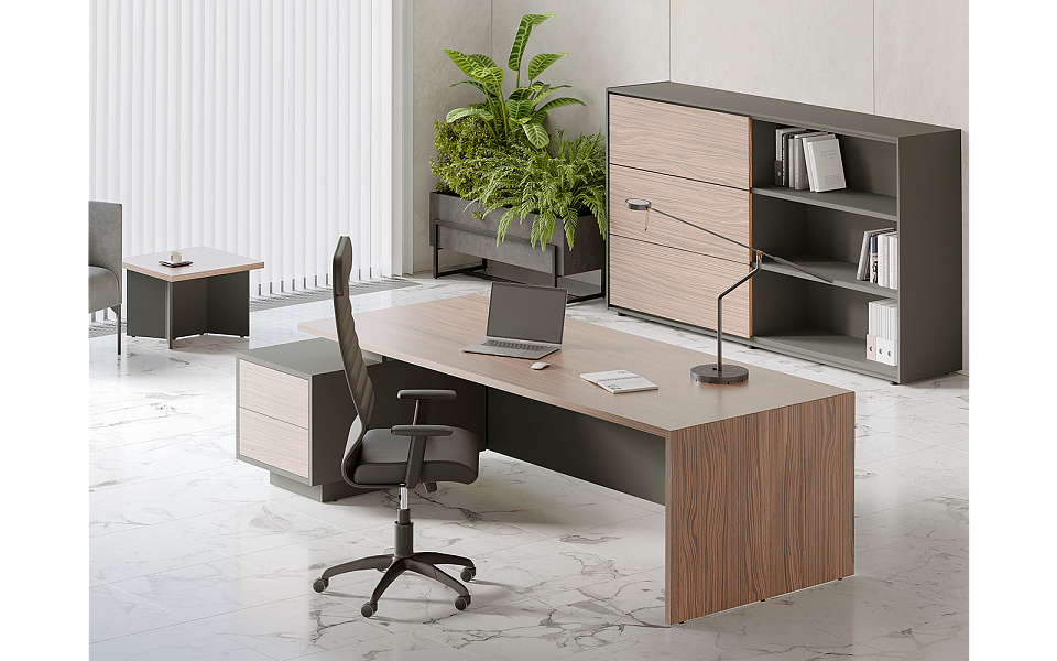 фото Кабинет руководителя Dali