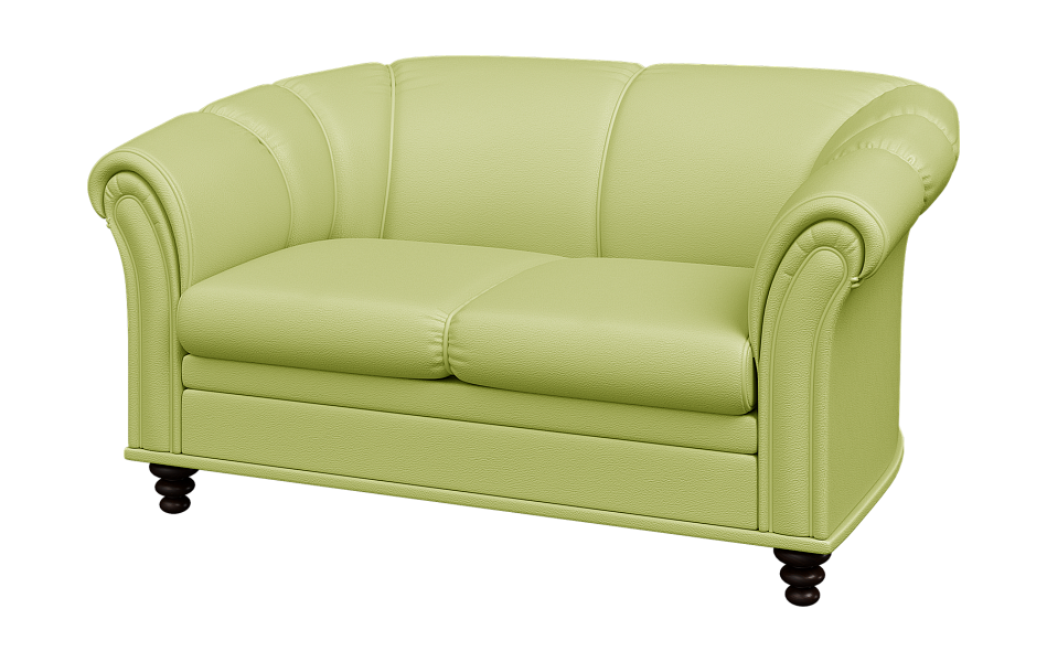 картинка Диван 2-местный Нео N2