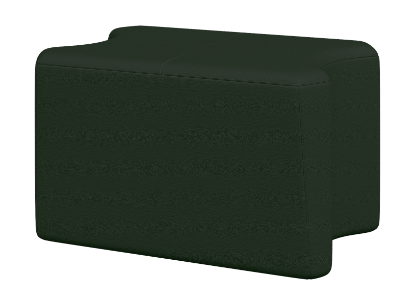 фото Секция средняя короткая Молекула Mol1