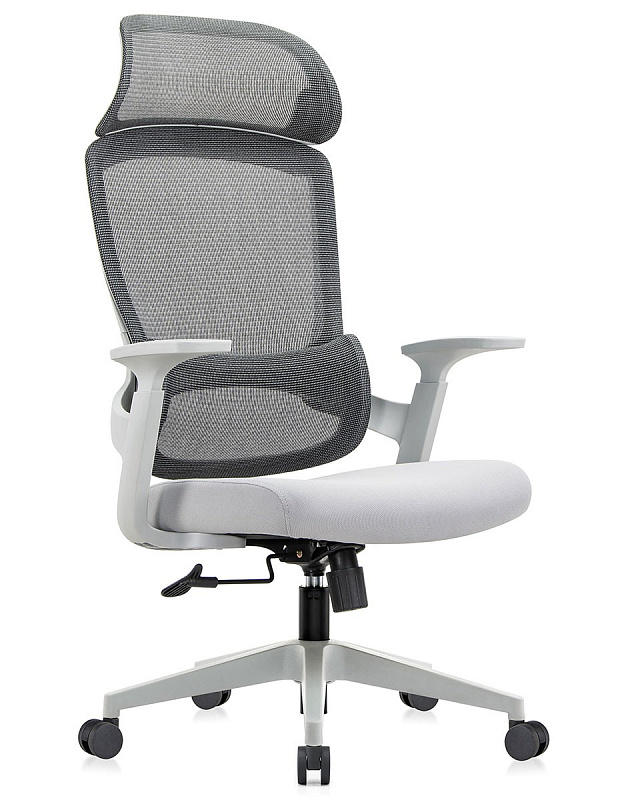 картинка Офисное кресло Riva Chair Job (6246A-HS)
