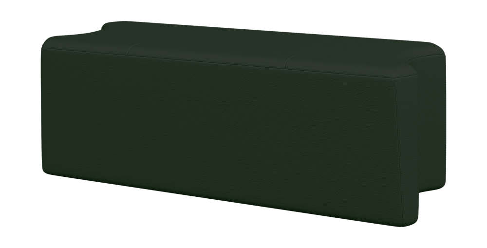 фото Секция средняя длинная Молекула Mol2