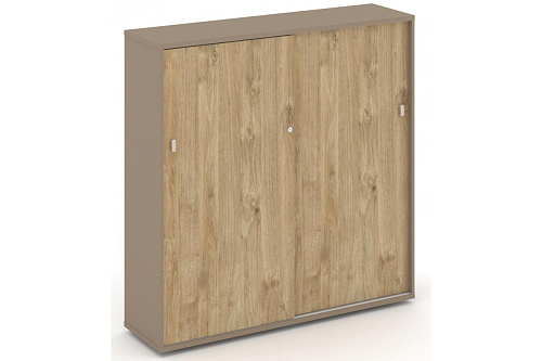 Шкаф купе офисный приставной EsteticaES.SHK-1