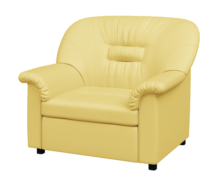 картинка Кресло раскладное Премьер  P1-r