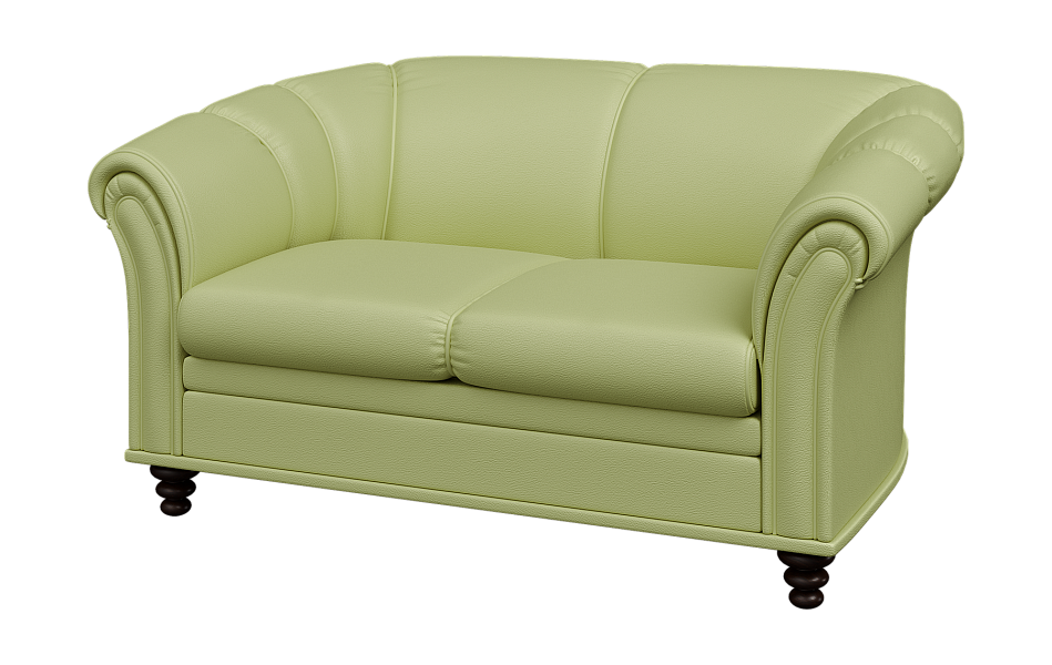 картинка Диван 2-местный Нео N2