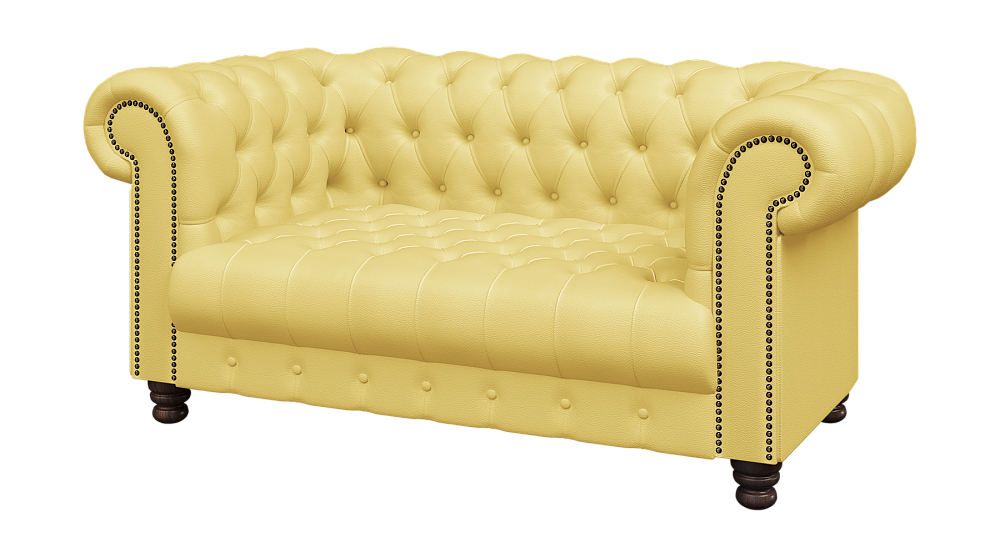 картинка Офисный диван 2-х местный Честер CH2