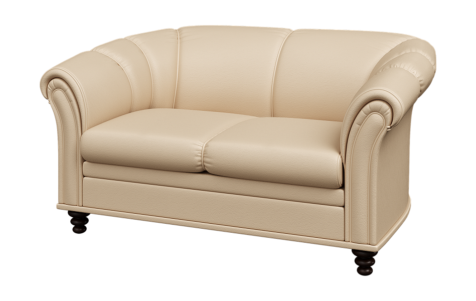 картинка Диван 2-местный Нео N2