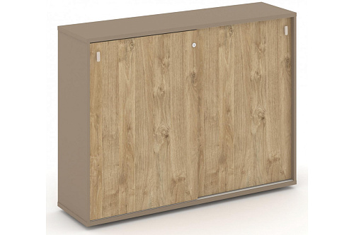 Шкаф купе офисный приставной Estetica ES.SHK-2