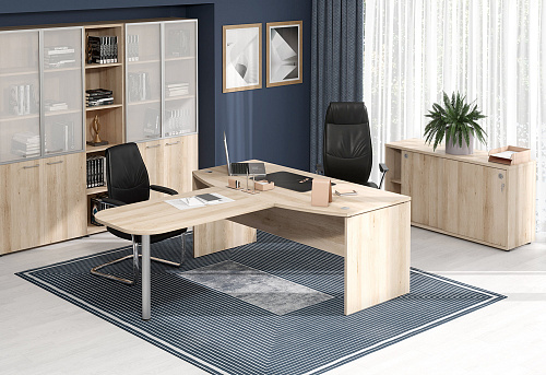 Кабинет руководителя XTEN