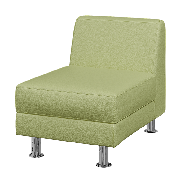 картинка Секция 1-но местная Эволюшн EVO1