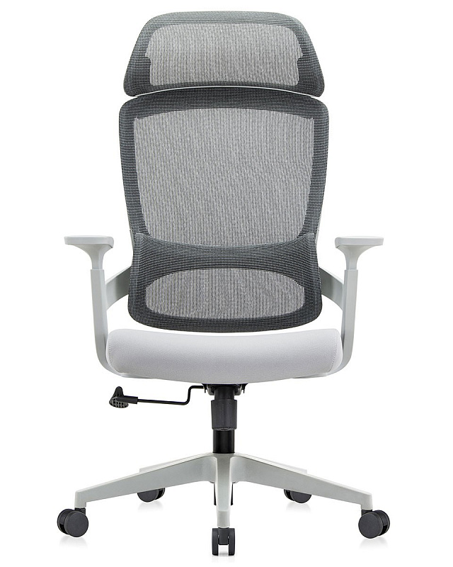 картинка Офисное кресло Riva Chair Job (6246A-HS)