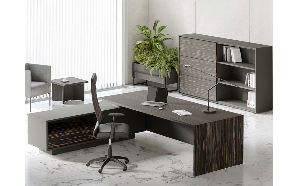 фото Кабинет руководителя Dali