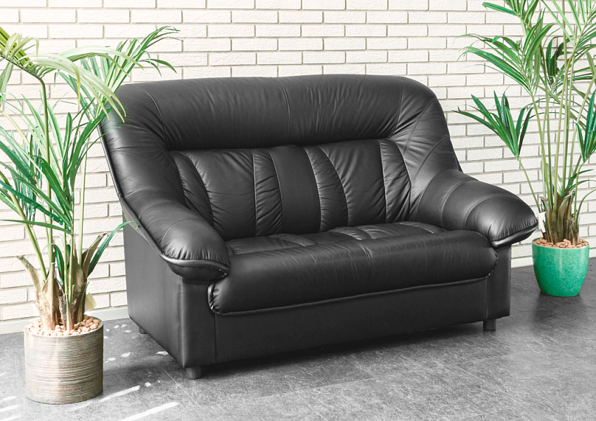 картинка Офисный диван Эдельвейс