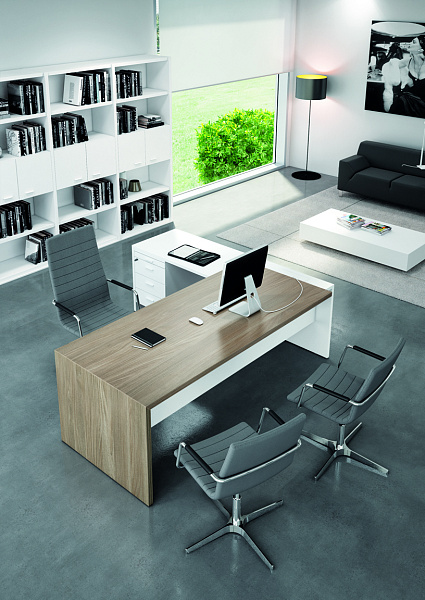 картинка Кабинет руководителя T 45