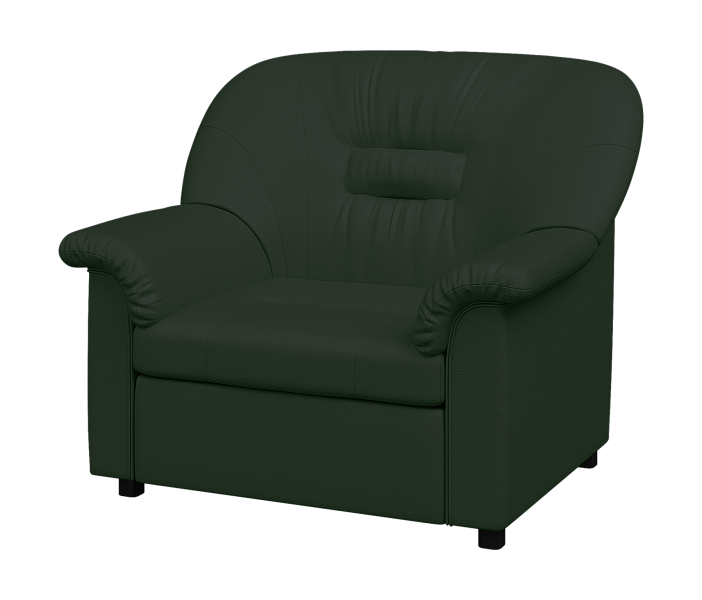 картинка Кресло раскладное Премьер  P1-r