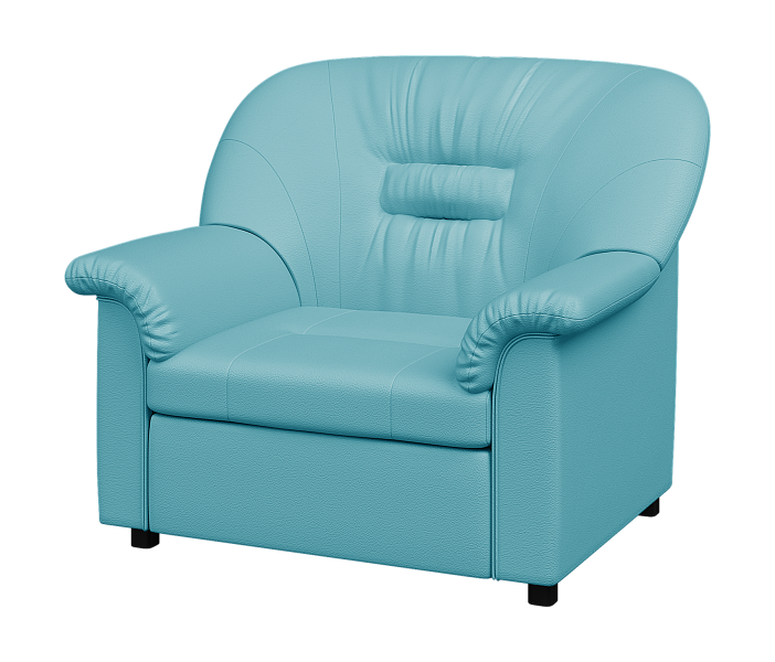 картинка Кресло раскладное Премьер  P1-r