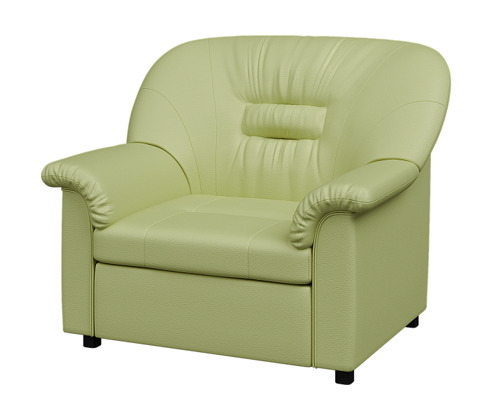 картинка Кресло раскладное Премьер  P1-r