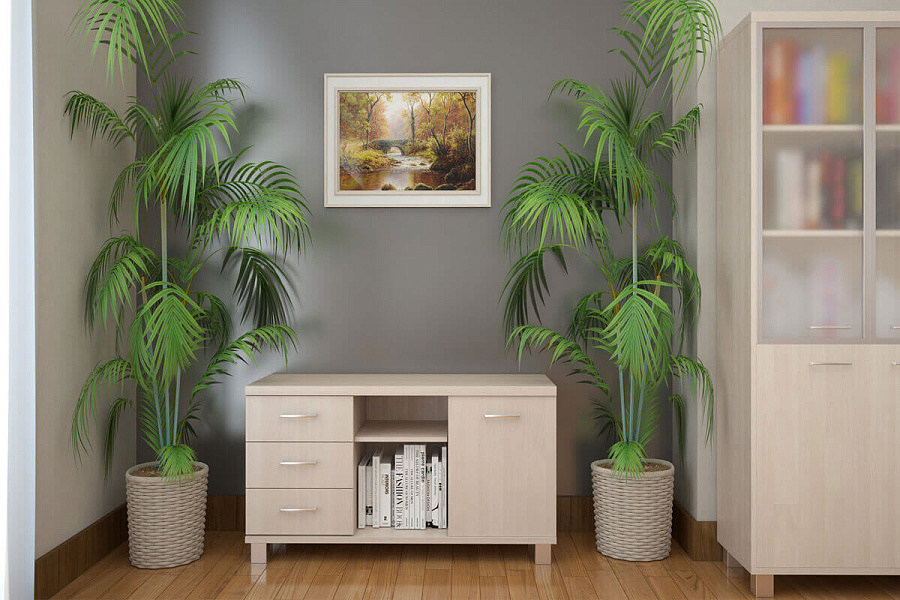 картинка Кабинет руководителя First