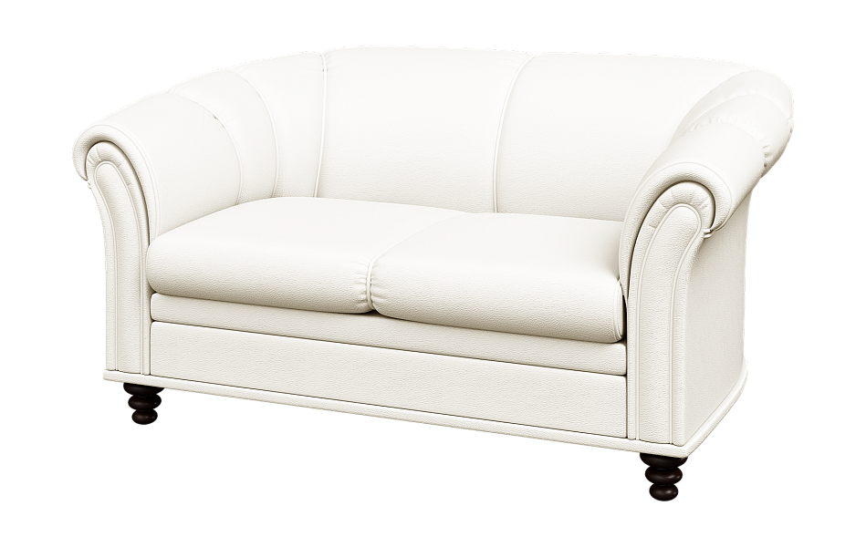 картинка Диван 2-местный Нео N2