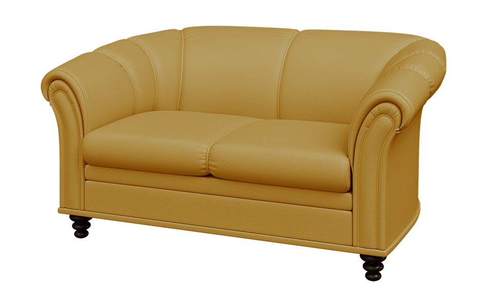 картинка Диван 2-местный Нео N2